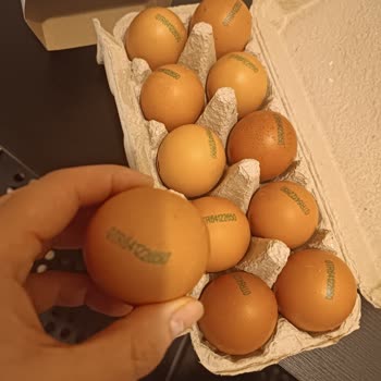 Tarihi Değiştirilen Ürünler