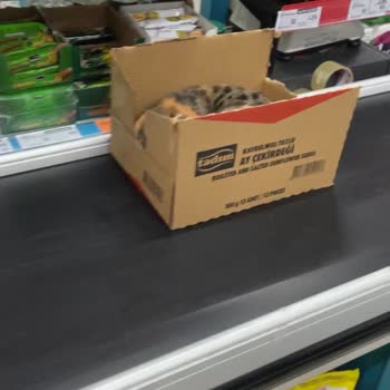 Mağazada Hijyen Sorunu Ve İlgisizlik