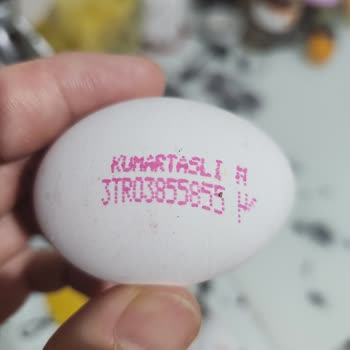 Gezen Tavuk Yumurtası Mı Yoksa Kafes Yumurtası Mı?