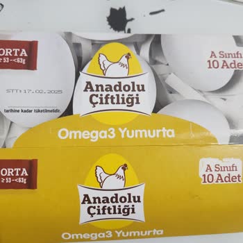 Gezen Tavuk Yumurtası Mı Yoksa Kafes Yumurtası Mı?