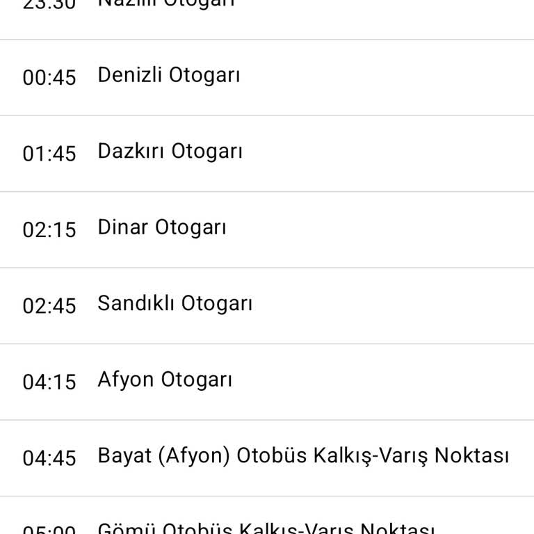 Geç Gelen Otobüs, Kötü Hizmet Ve Rahatsız Edici Yolculuk