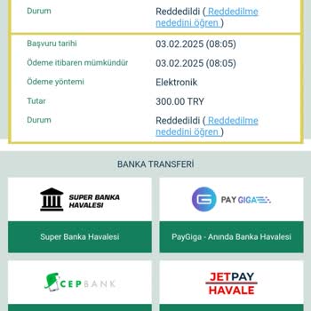 Ödeme İşlemlerinde Karşılaşılan Zorluklar