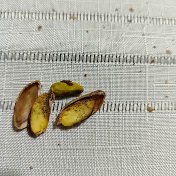 Kalitesiz Antep Fıstıkları İle Hayal Kırıklığı