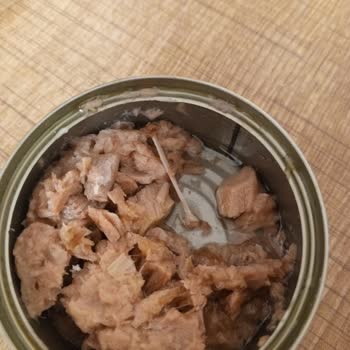 Superfresh Ton Balığında Tehlikeli Kılçık Sorunu