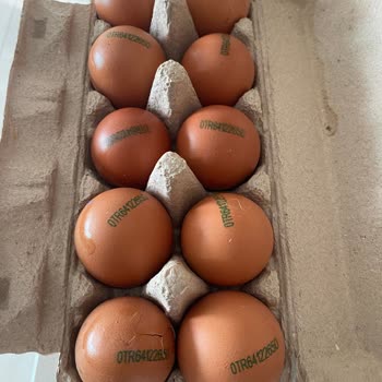 Migros'tan Sürekli Kırık Yumurta Sorunu