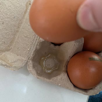 Migros'tan Sürekli Kırık Yumurta Sorunu