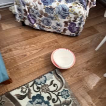 Su Baskını Mağduriyeti Ve İlgisiz Servis