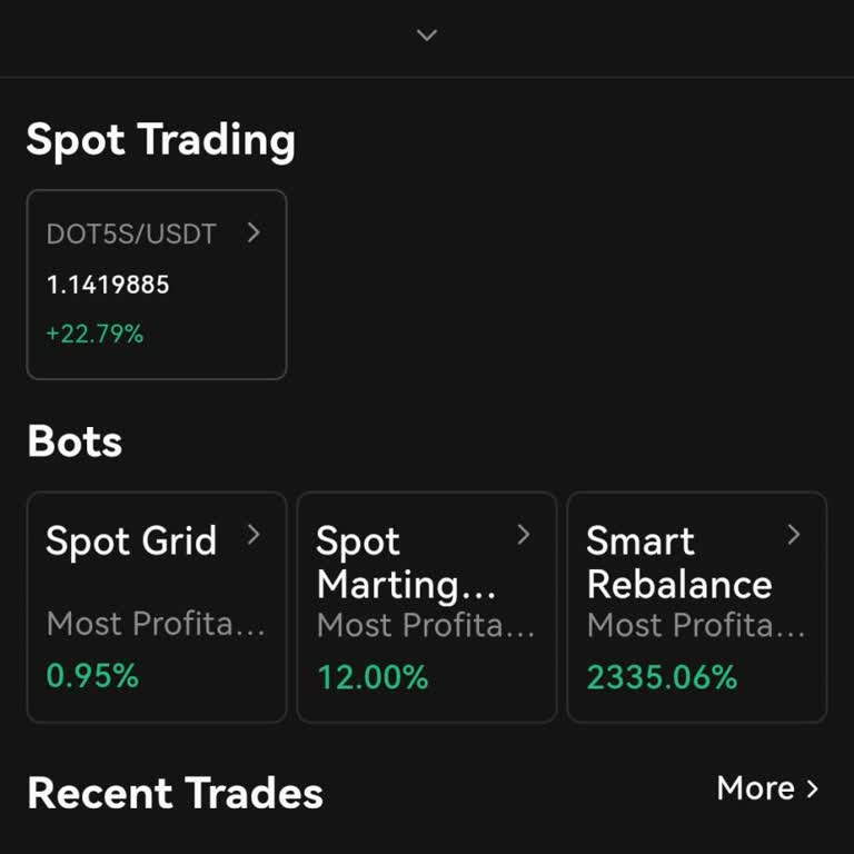 Preismanipulation und Verlust bei Gate.io DOT5S Coin von 400 Dollar