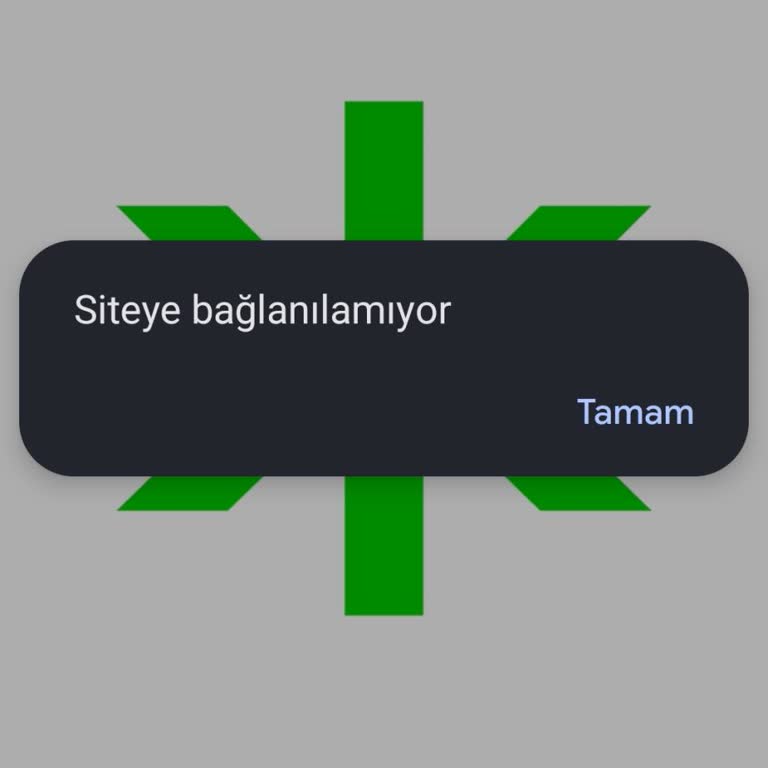 Yatırım Portföyü Erişim Sorunu