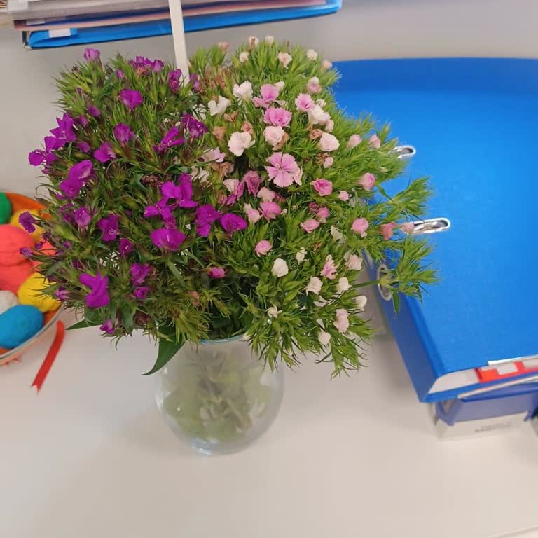 Hayal Kırıklığı Yaratan Çiçek Siparişi