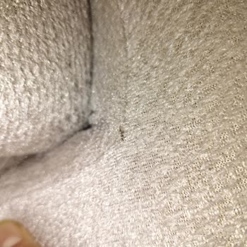 Mondi Mobilya'dan Aldığımız Koltuk Takımında Erken Yıpranma Ve Çözüm Eksikliği