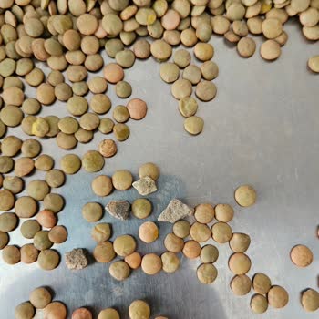 Tat Bakliyat Marka Yeşil Mercimekten Çıkan Taşlar