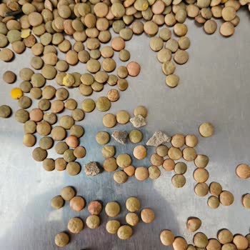 Tat Bakliyat Marka Yeşil Mercimekten Çıkan Taşlar