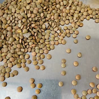 Tat Bakliyat Marka Yeşil Mercimekten Çıkan Taşlar