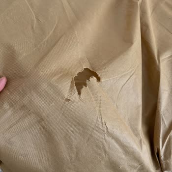 Yataş Evcil Hayvan Yatağında Büyük Hayal Kırıklığı