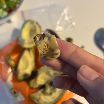 Kurtlu Ve Bozuk Avokado Hayal Kırıklığı