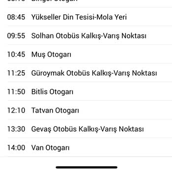 Yolculukta Yaşanan Sorunlar Ve Yolcu Güvenliği