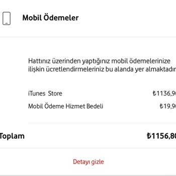 İzinsiz Yapılan İtunes Store Harcamaları