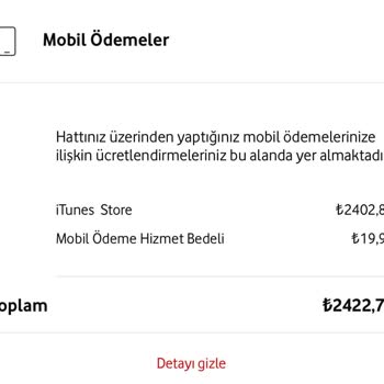 İzinsiz Yapılan İtunes Store Harcamaları