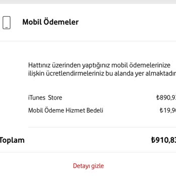 İzinsiz Yapılan İtunes Store Harcamaları