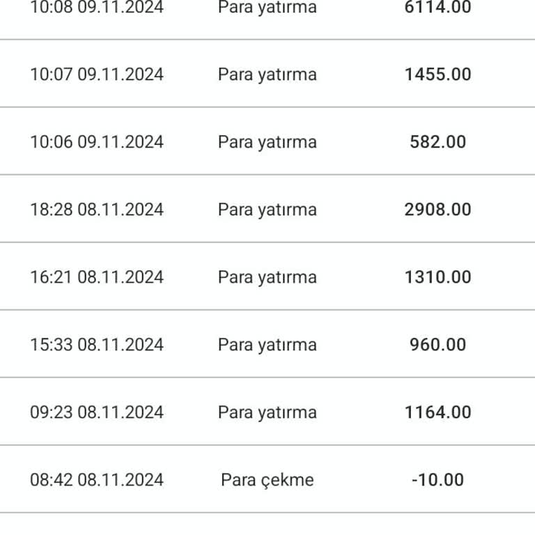 Yanıltıcı Yatırım Deneyimi