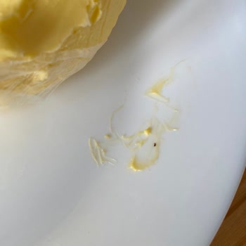 Tereyağında Hijyen Sorunu: Böceğe Benzer Madde Şoku