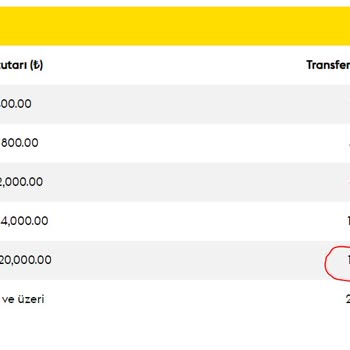 Western Union erhöht unerwartete Gebühren von 165 TL auf 960 TL