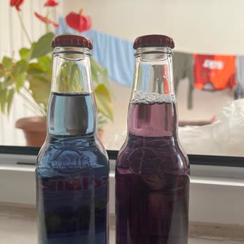 İki Farklı Marka Sodanın Tat Karşılaştırması