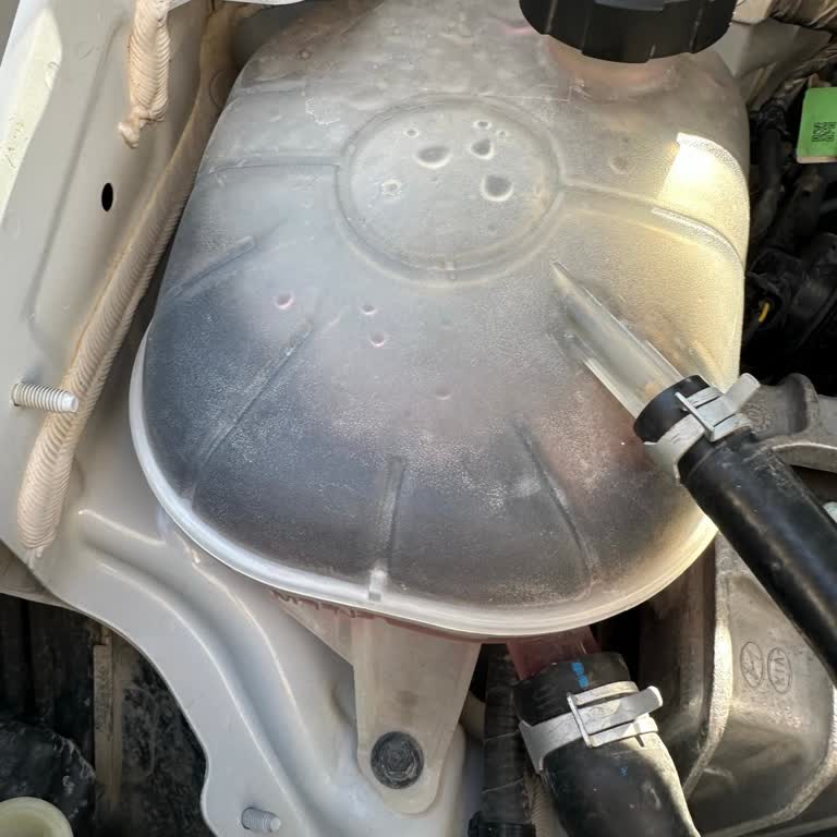 Yetkili Serviste Yapılan Bakım Sonrası Motor Soğutma Suyu Sorunu