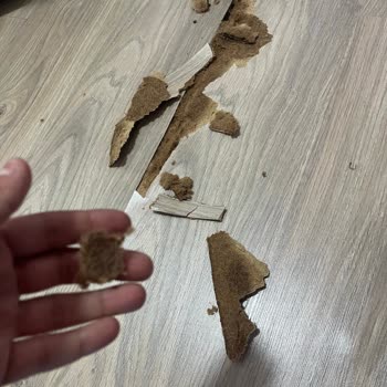 Simya Mimarlık Hizmet Kusuru