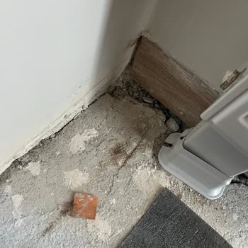 Simya Mimarlık Hizmet Kusuru