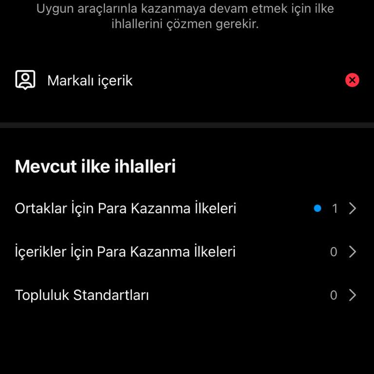 Instagram Yeni Başlangıçta Büyük Hayal Kırıklığı