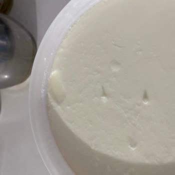 Yoğurt Paketinde Böcek Şoku