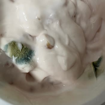 Küflü Ürün Ve Sağlık Tehlikesi