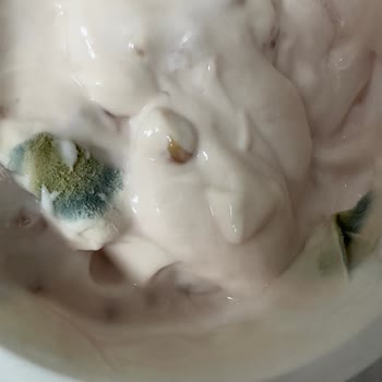 Küflü Ürün Ve Sağlık Tehlikesi