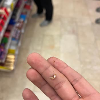 Şok Market'ten Aldığım Supangle'de Yumurta Kabuğu Sürprizi