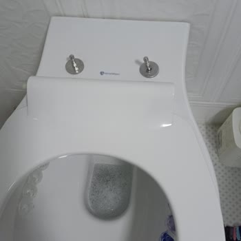 Klozet Kapaklarının Sürekli Bozulması Ve Montaj Sorunu