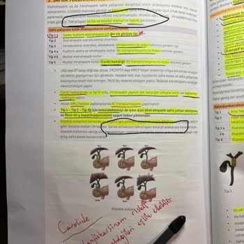 Yanlış Bilgi Ve Yazım Hatalarıyla Dolu Konu Kitapları