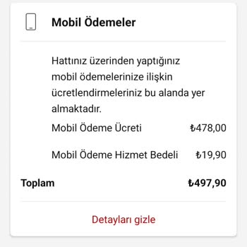 Onaysız Fatura Yansıtma Sorunu