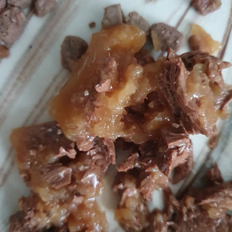 Nestlé Purina Wet Food Contains Suspicious White Particles