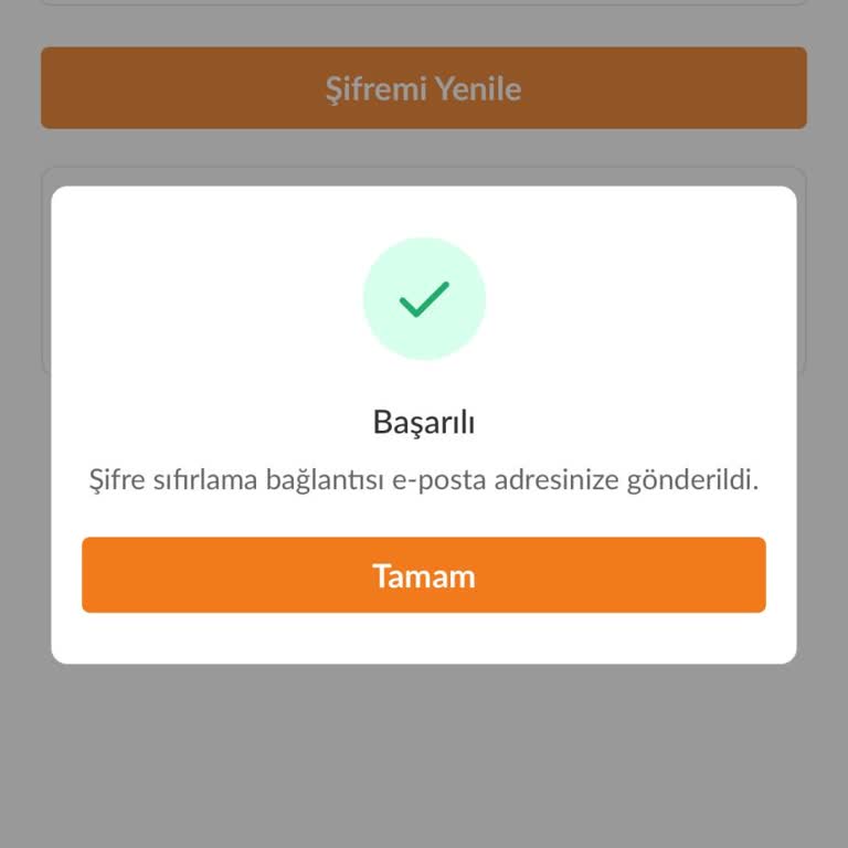Trendyol Hesabımda Güvenlik Tehlikesi: Şifre Sıfırlama Linki Gelmiyor