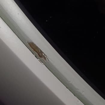 Mondi Home'dan Aldığım Yatak Odası Takımı Kabusa Döndü