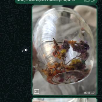 Çiçekli Bardaklarda Su Alma Ve Küflenme Sorunu