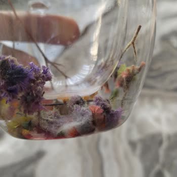 Çiçekli Bardaklarda Su Alma Ve Küflenme Sorunu