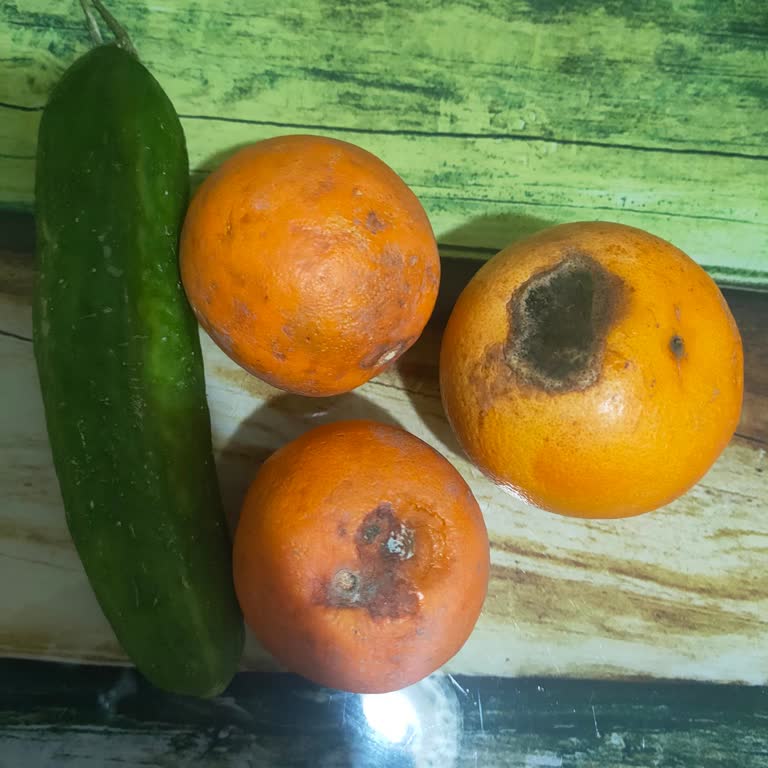 Çürük Ürünlerle Gelen Hayal Kırıklığı