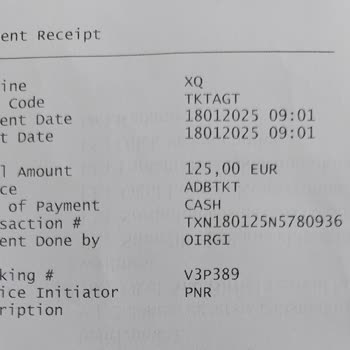 Sunexpress'in Online İşlem Sorunu Ve Ek Ücret Mağduriyeti