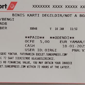 Sunexpress'in Online İşlem Sorunu Ve Ek Ücret Mağduriyeti