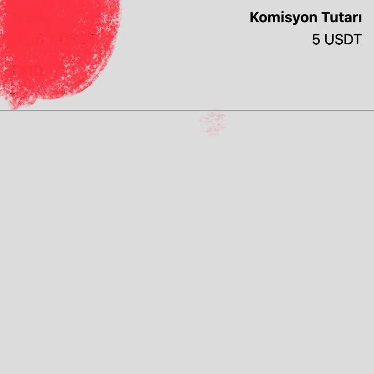 Bitci Platformunda 60 Saati Aşan USDT Çekim Gecikmesi