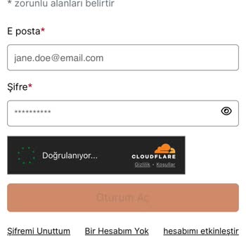 VFS Global Hollanda Sistemi Hataları