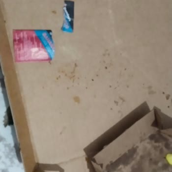Domino's Siparişi Hayal Kırıklığı: Eksik Ve Lezzetsiz Ürünler